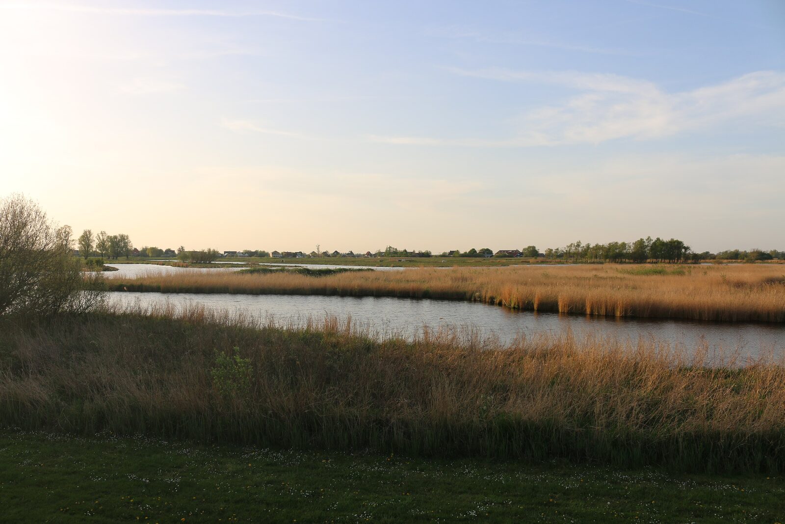 Reed beds and open water in Het Twiske, the nature and recreation area north of Amsterdam where Lentekabinet is held.
